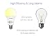 Smart Light Bulb, Wifi Smart Light Bulb with 50W Equivalent, Dimmable Warm White and A19 E26 Edison Bulb, Compatible with Alexa and Google Home, No Hub Required, LUMIMAN LM510