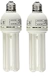 (2 Pack) Zoo Med 24975 Avian Sun 5.0 Uvb Compact Fluorescent Lamp, 26W