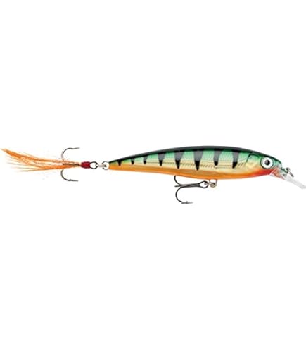 ラパラ（RAPALA）エックスラップ6本とエックスラップディープ6本 Amazon.com: Rapala X-Rap 06 (Hot Head)