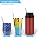 Anpro Portable Straw Collapsible Straw- Reusable Straws with Case, Stainless Steel Telescopic Metal Straws with Key Chain & Cleaning Brush For Travel, Home and Work,Bottle Brush-2 Pack