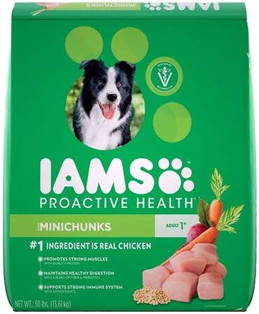 iams proactive health adult minichunks dry dog food