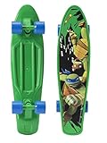 PlayWheels Teenage Mutant Ninja Turtles 21'' Kids Complete Plastic Skateboard