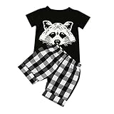 FEITONG Infant Toddler Baby Boy Fox T shirt Tops Plaid Shorts Pants Clothes Set (18 Months, Black)