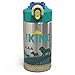 Zak Designs The Lion King - Simba, Timon and Pumbaa Stainless Steel Water Bottle 15.5 oz with One Hand Operation Action Lid and Built-in Carrying Loop, with Straw is Perfect for Kids
