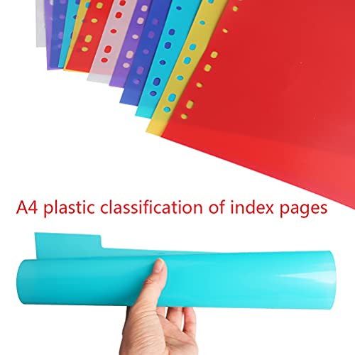 12 Pack Binder Dividers, Multicolor Tab Dividers for 3 Ring Binder