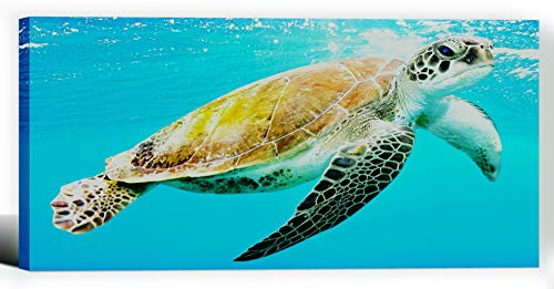 Wall Art Big Brown Turtle Painting Printed on Canvas Sea Animal Swimming Leisurely Underwater Picture Print Decor Artwork Easy Hang for Home Decoration