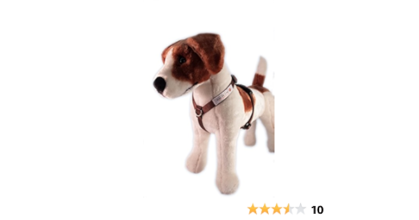 walk in sync dog harness