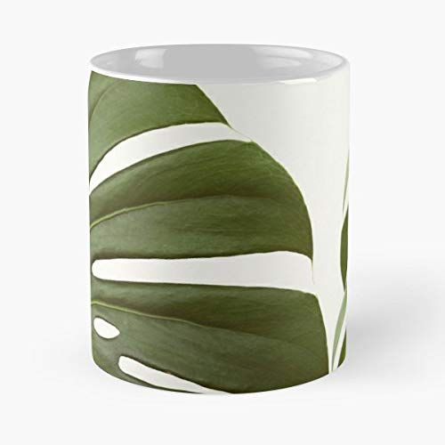 Plant Leaves Leaf Coffee Mugs Unique Ceramic Novelty Cup