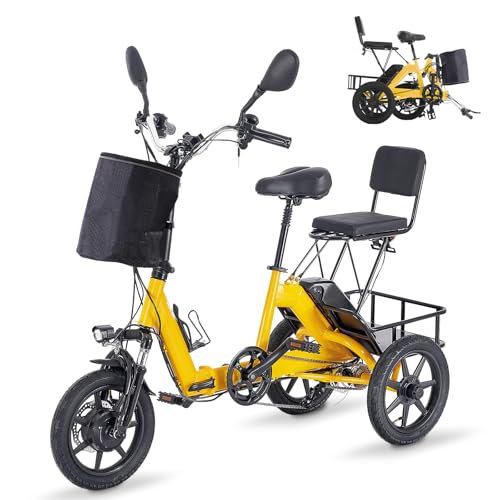 Electric Tricycle for Adults, Peak 500W Brushless Motor Electric Trike, 480Wh Removable Battery, Step-Thru 3 Wheel Electric Bike, 2 Seats, Up to 45 Miles, Folding E Trike Ebike, Gift for Parents