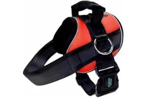 Joyride Harness 2.0 No Pull Dog Harness - Dual Adjustable No Choke Dog Vest for Easy Walks and Training - Custom Name Tag Included - Perfect for Small, Medium & Large Dogs