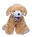 BEAREGARDS.COM Lot of 10 Recordable 8