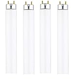 Dysmio Lighting F15T8-CW 15 Watt T8 Straight Tube, Medium Bi-Pin Base, 4100K - Cool White Pack of 4