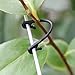 Weite 50 Pieces Self-Locking Plant Vines Tied Buckles Set, Flexible Fixed Strapping Clips Fastener Lashing Hook Twist Ties for Home Office Garden (Black)thumb 4