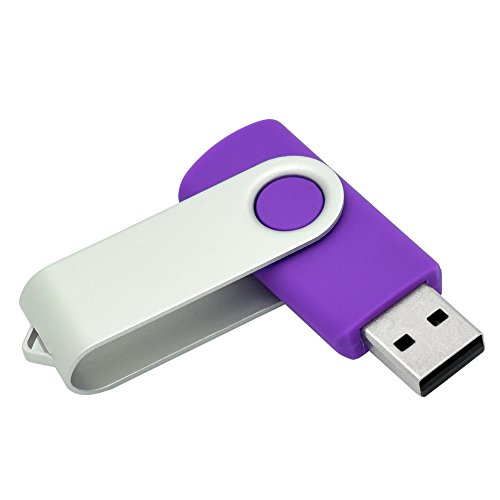 OVANUS 16GB USB 2.0 Flash Drives Metal Memory Stick Storage U Disk (Purple)