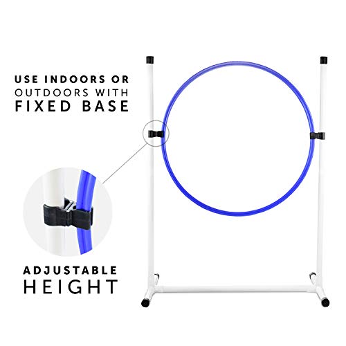 Better Sporting Dogs 3 Piece Essential Dog Agility Equipment Set