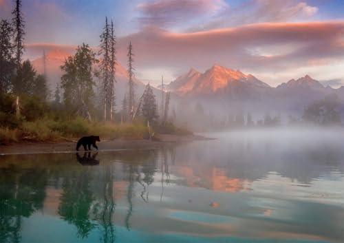 Buffalo Games - Molly McCormick - Bear Reflection - 500 Piece Jigsaw Puzzle for Adults Challenging Puzzle Perfect for Game Nights - Finished Puzzle Size is 21.25 x 15.00