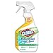 Clorox Company 30970 Bleach Gel Spray, 30-Ounce