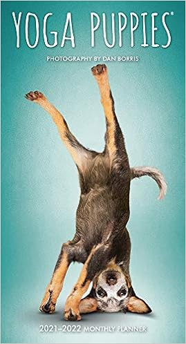 best selling puppies