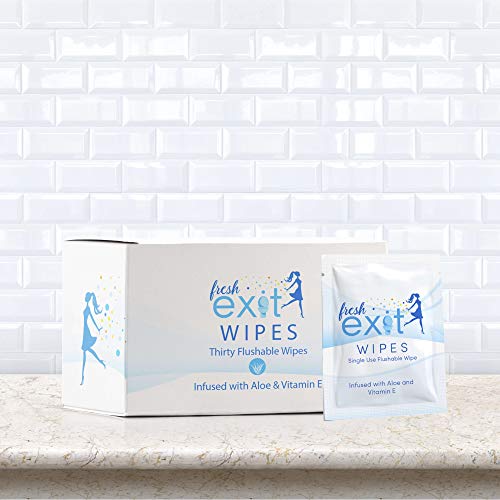 FreshExit 60 Individually Wrapped Flushable Wipes for Adults Travel