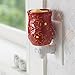 Candle Warmers Etc. Pluggable Fragrance Warmer, Cayenne