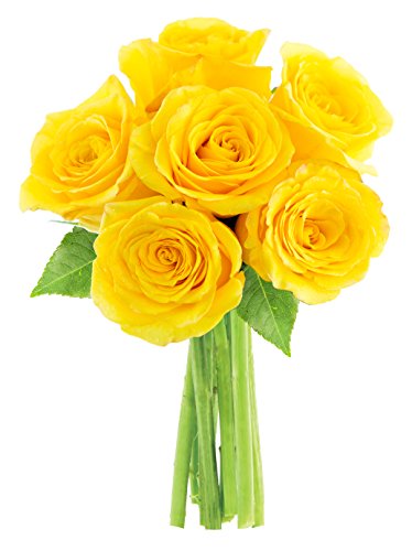 KaBloomFlowers - Valentine Collection - Yellow Sunshine Bouquet of 6 Fresh Cut Yellow Roses Without Vase - Gift for Birthday, Valentine, Mother’s Day Fresh Flowers