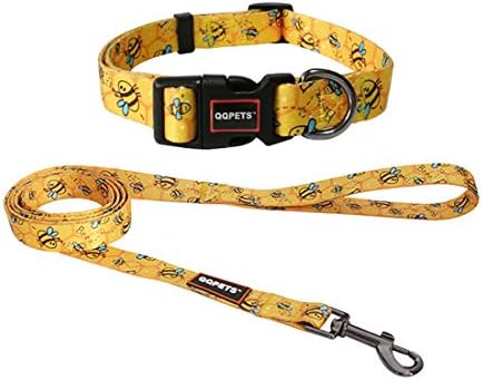 boy puppy collars and leashes