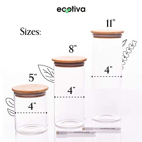 Protein Powder Container Food Containers with Lids Airtight Glass