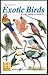 Exotic Birds Playing Cards