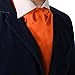 Dan Smith DRA7E01N Orange Solid Mens Microfiber Ascot Business- casual Groomsmen Cravat Happy Gift