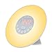 Wake Up Light, Alarm Clock, CoCoMoon Sunrise Simulation with Night Light, Atmosphere Lamp, FM Radio, Bedside Lamp，Nature Sounds Wake Up Light Colored Sunrise with Smart Snooze Function