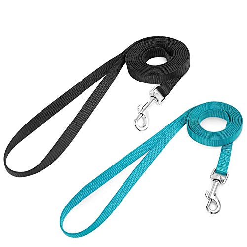 rabbitgoo 2 Pack Cat Leashes Long Nylon Pet Leash, Escape Proof