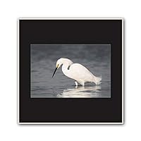 Framed Canvas Wall Art A Bird Standing on Canvas Prints Home Artwork Decoration for Living Room,Bedroom - 16x16 inches
