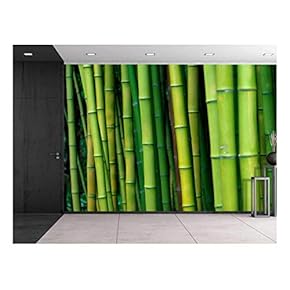 Green Bamboo Trees - Wall Mural, Removable Sticker, Home Decor - 66x96 inches