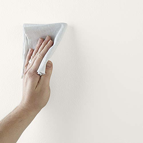 The Spruce Best Home by KILZ Interior Paint & Primer in One, First