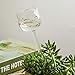 KiKiHome New Plant Waterer Self Watering Globes, Hand Blown Clear Glass Plant Water Bulbs for Indoor & Outdoor, 3 Catsthumb 4