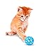 MindWare Make Your Own Kitty Day Camp – DIY Activities to do with Your pet! – Kids & Teens Learn Training Basics Used by The pros – 20 pcs