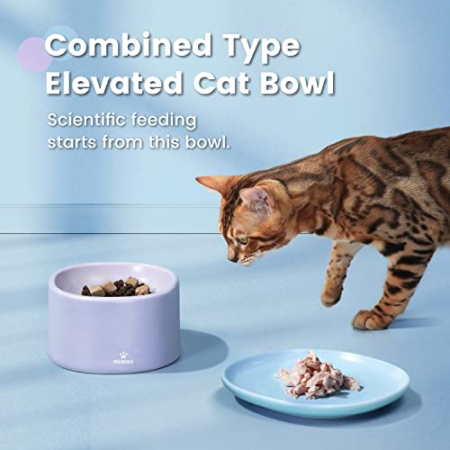 Pawaii Ceramic Cat Bowl, Combined Type Elevated Cat Bowl, Whisker