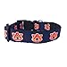 NCAA Auburn Tigers Dog Collar (Team Color, Medium)
