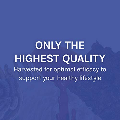 Host-Defense-Stamets-7-Extract-Daily-Immune-Support-Mushroom-Supplement-with-Lions-Mane-Reishi-Vegan-Organic-Gluten-Free-1-oz-30-Servings