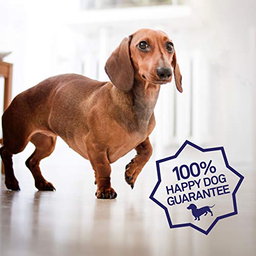 Petpost | Dental Wipes for Dogs - Bad Breath, Plaque and Tooth Decay Gone - 100 Presoaked Pads in Natural Tooth Cleaning Solution - Thumbnail 6