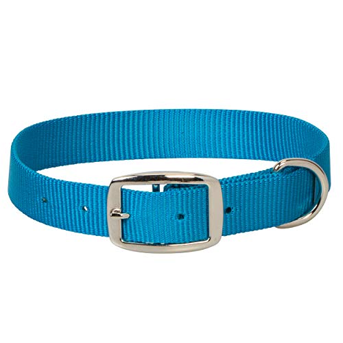 Weaver Pet Prism Single-Ply Collar, Hurricane Blue, 1-inch x 23-inches