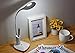INVICTUS LED Desk Lamp Eye-caring Table Lamps, Dimmable Office Lamp with USB Charge Port, Touch Control, Night Light Mode 2W