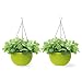 Homes Garden 10.5 in. Dia Plastic Rattan Hanging Planter Green (2-Pack) Flower Plant Hanging Basket for Home Office Garden Porch Balcony Wall Indoor Outdoor Decoration Gift #G725A00 primary