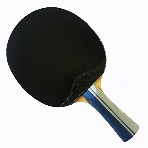 Palio Legend 2.0 Table Tennis Racket & Case ITTF Approved Flared