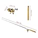 Lixada Pen Fishing Rod Reel Combo Set Telescopic Pocket Fishing Rod Pole + Reel Aluminum Alloy Fishing Line Soft Lures Golden