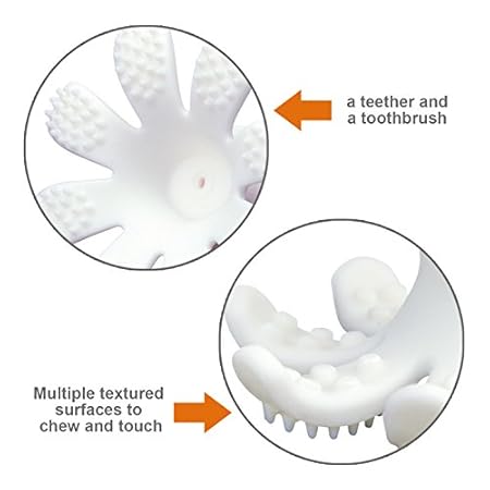 ollie octopus teether