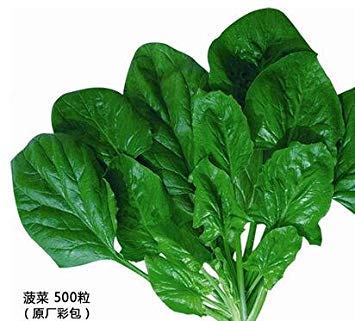 VISA STORE New Rare 100 Tomatensamen + GemÃ¼sesamen -'Russische Krim' Dark & â€‹â€‹Delicious !!