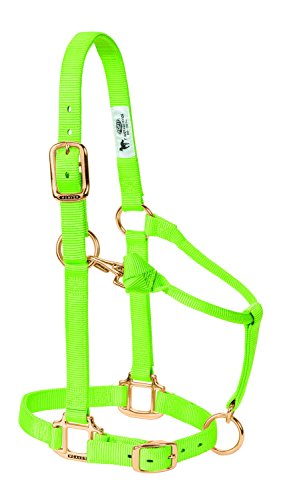 Weaver Leather 1" Large Horse/2 Year Old Draft Original Chin & Throat Snap Halter, Lime, Adjustable