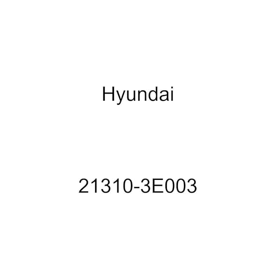 Genuine Hyundai 21310 3E003 Engine Case Assembly Front Amazon in Car 