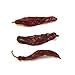 Spice Jungle Serrano Chile Peppers, Whole - 4 oz.